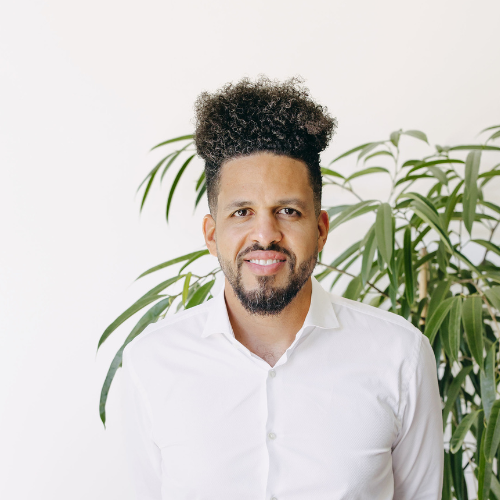 Delonix Solutions – Leadership Team -Philippe Vatin