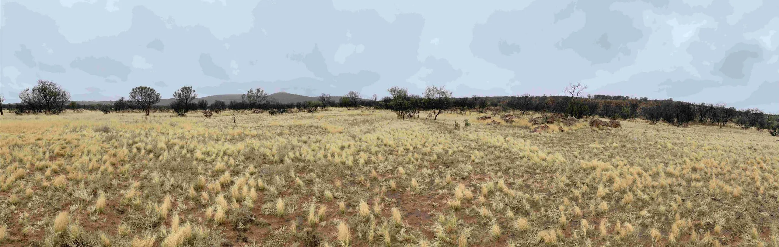 Panoramic landscape of the Arafura Nolans project site in Central Australia, where Delonix Solutions supported plant layout optimisation and hydromet design.